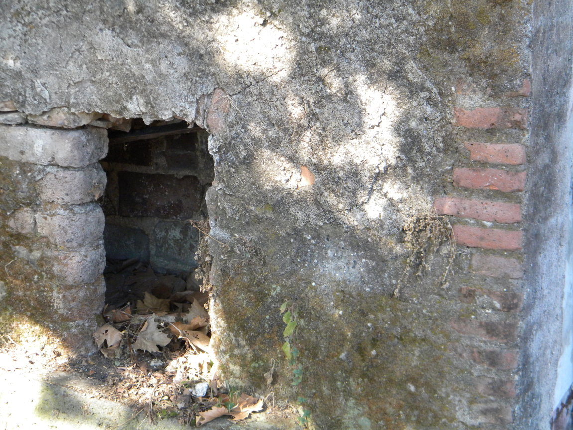 DSCN8187 .JPG